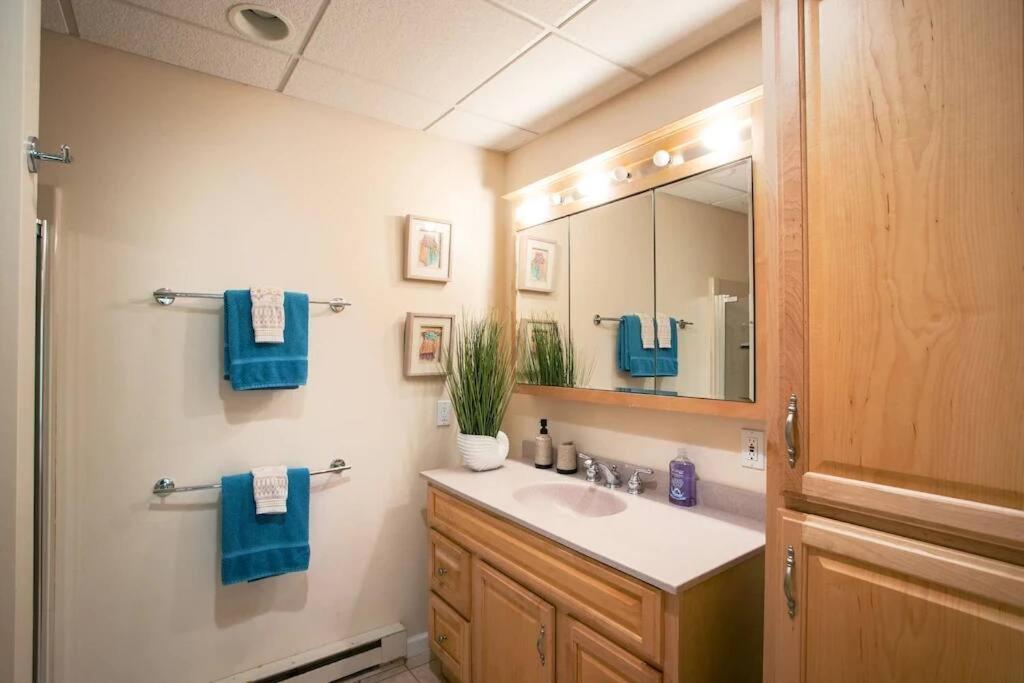 Spacious 3Br 3Ba Sleeps 8 Ski On Off Jiminy Mountain Resort Hancock Bagian luar foto