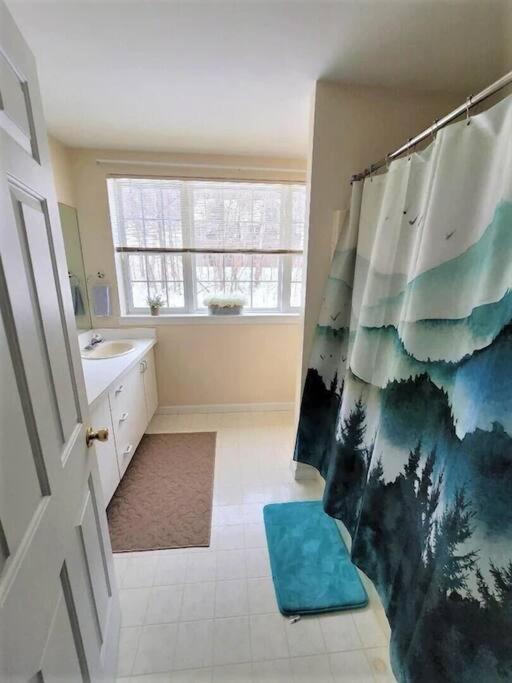 Spacious 3Br 3Ba Sleeps 8 Ski On Off Jiminy Mountain Resort Hancock Bagian luar foto